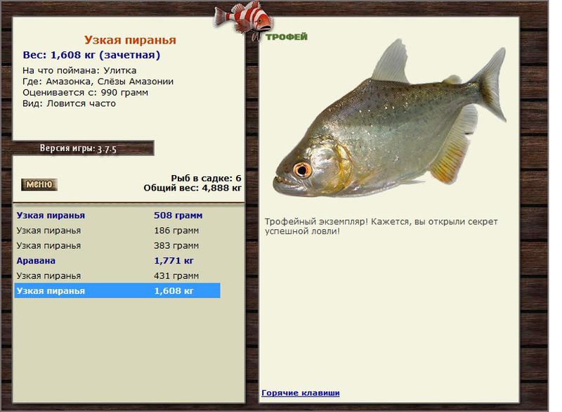 Узкая пиранья 
