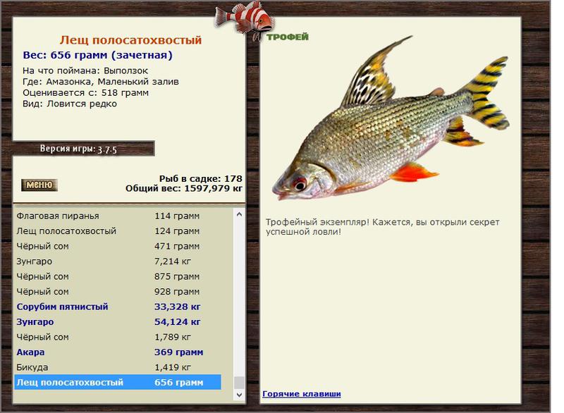 Лещ полосатохвостый 