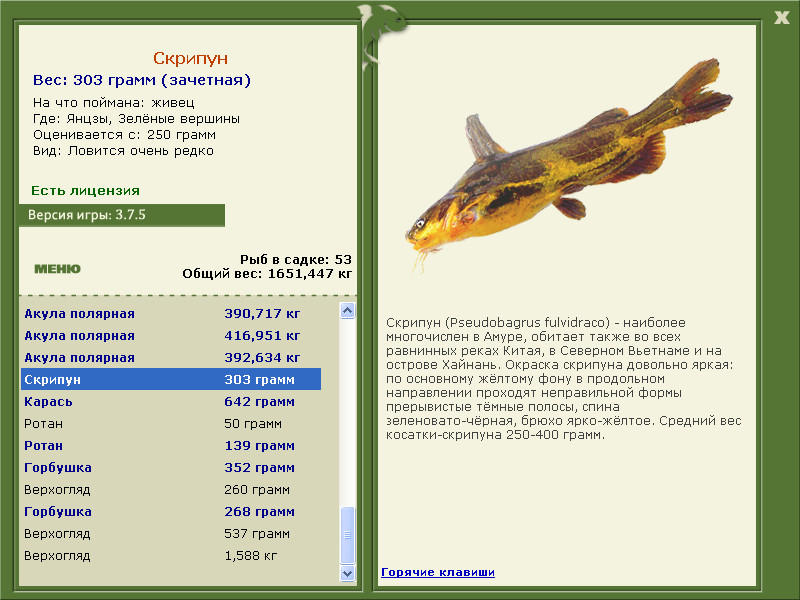 Реальная рыбалка касатка на что ловить