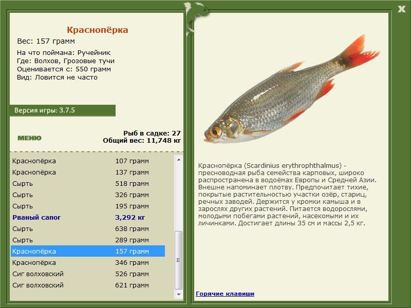 РУССКАЯ РЫБАЛКА Installsoft Edition 