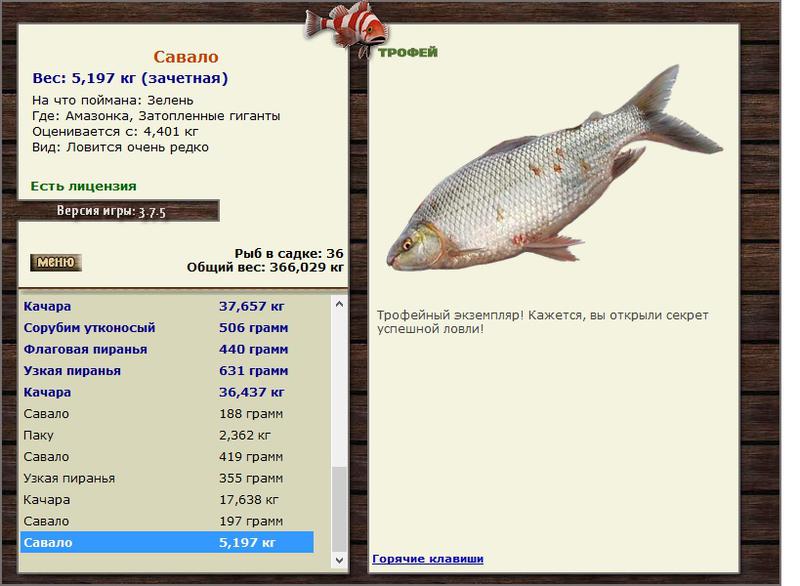 РУССКАЯ РЫБАЛКА Installsoft Edition 