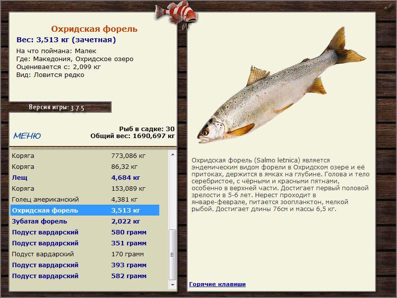 Охридское озеро 