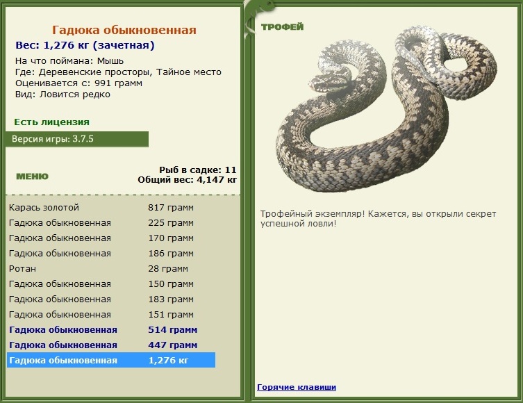 Мышь 