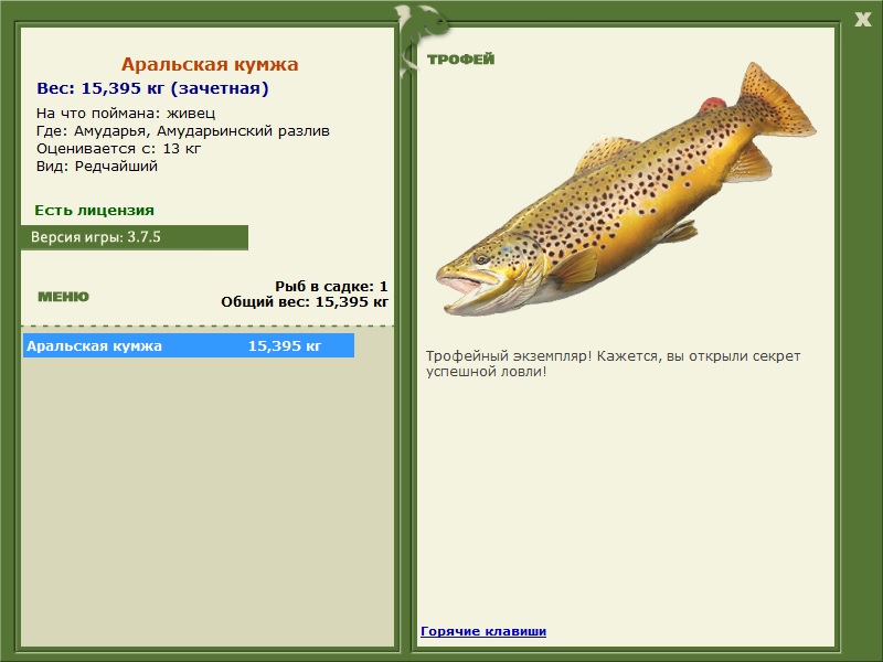 Аральская кумжа 