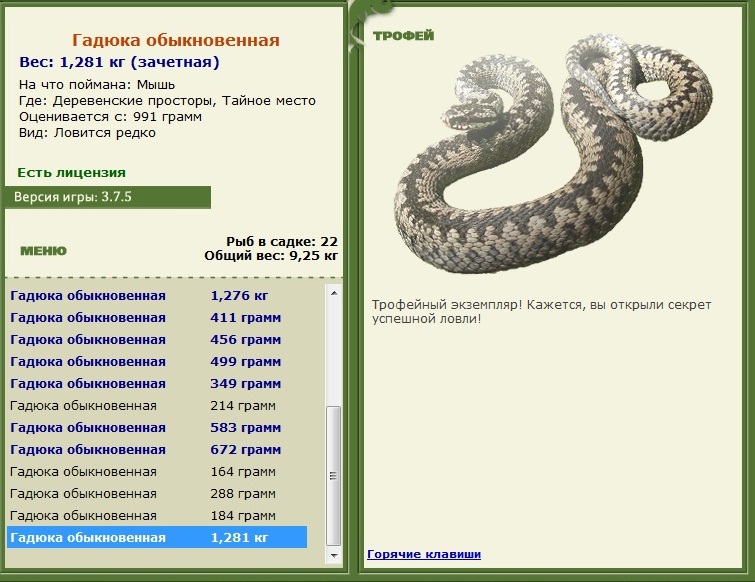 Мышь 