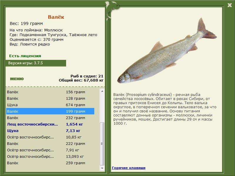 РУССКАЯ РЫБАЛКА Installsoft Edition 