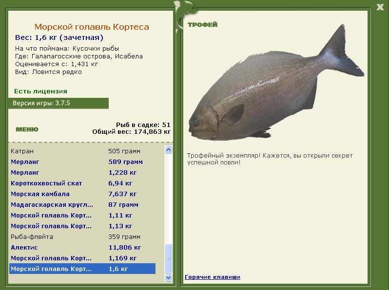 Морской голавль Кортеса 