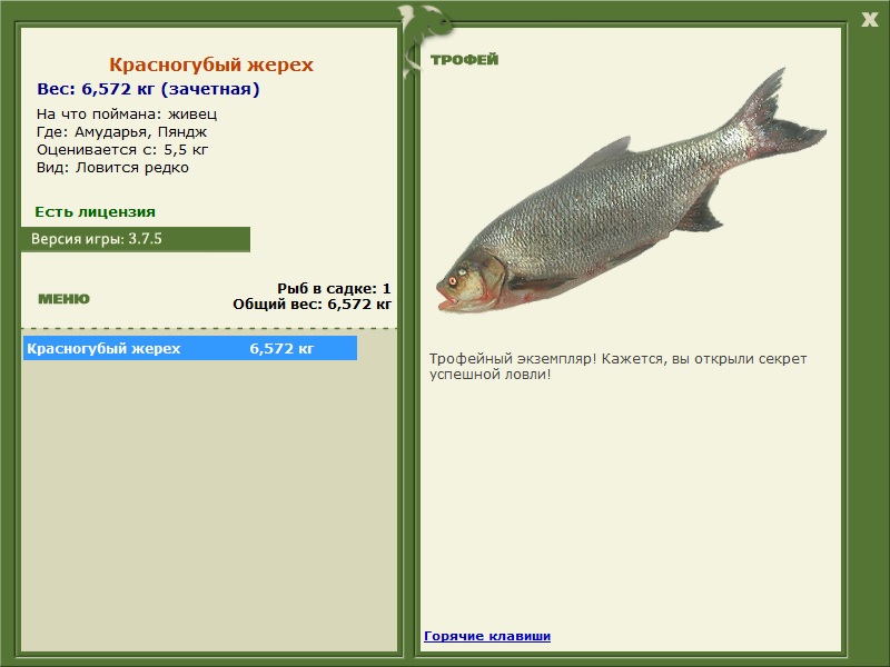 турниры • РУССКАЯ РЫБАЛКА