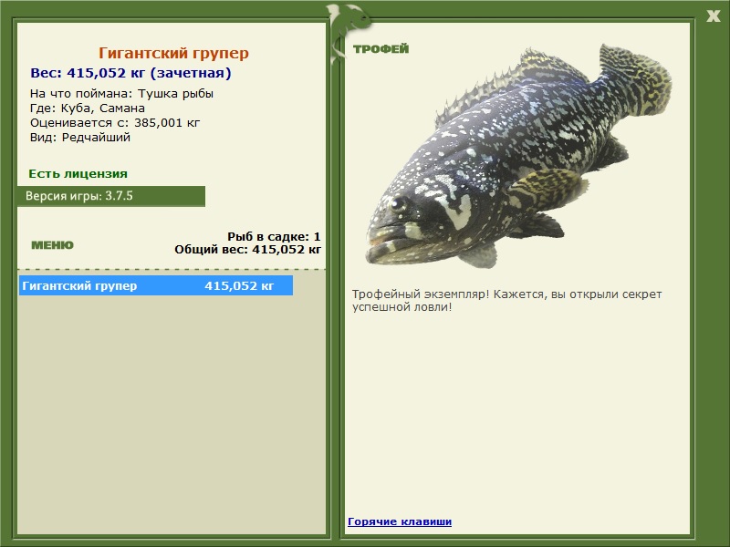 Гигантский групер 