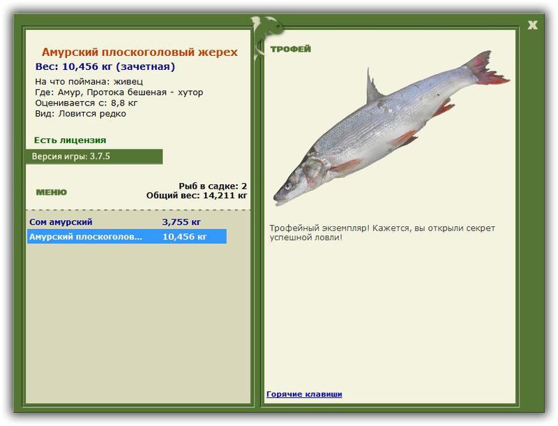 Учимся использовать BBcode в сообщениях 