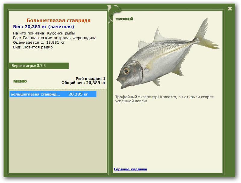 Учимся использовать BBcode в сообщениях 