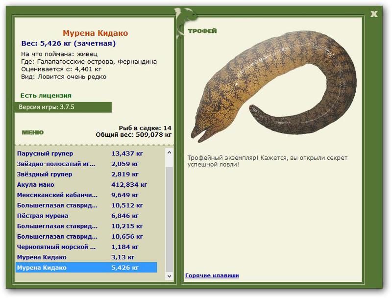 РУССКАЯ РЫБАЛКА Installsoft Edition 