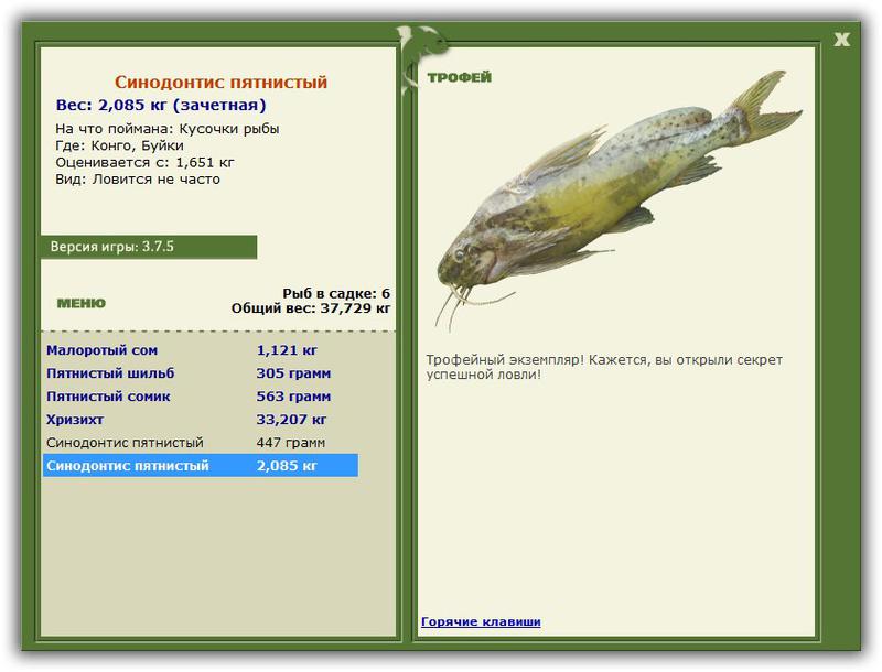 РУССКАЯ РЫБАЛКА Installsoft Edition 