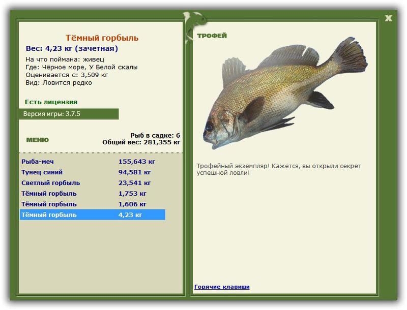 РУССКАЯ РЫБАЛКА Installsoft Edition 