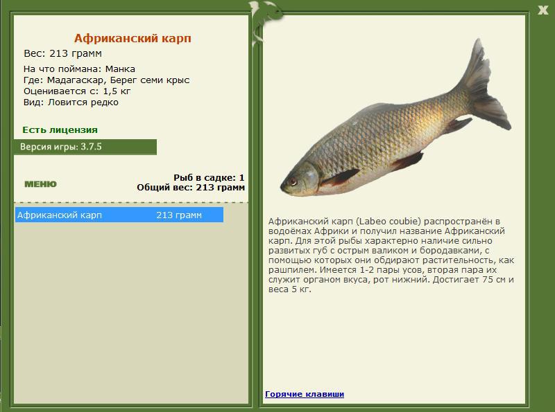 РУССКАЯ РЫБАЛКА Installsoft Edition 
