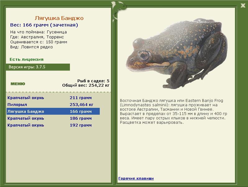 Торренс 