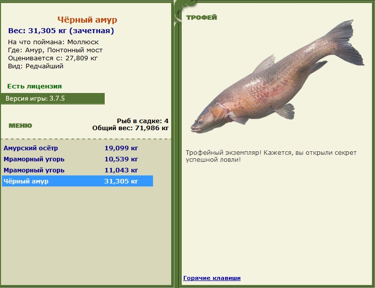 турниры • РУССКАЯ РЫБАЛКА