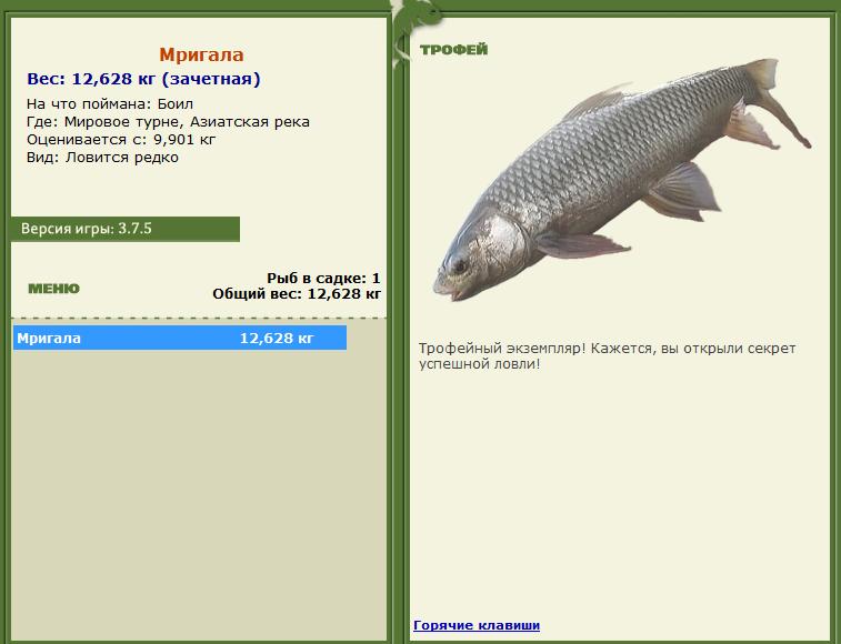 Бойл 