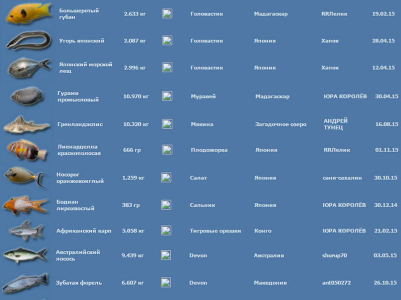 РУССКАЯ РЫБАЛКА Installsoft Edition 