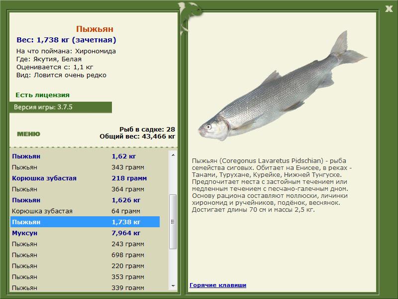 РУССКАЯ РЫБАЛКА Installsoft Edition 