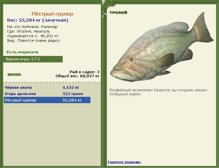 Кальмар 