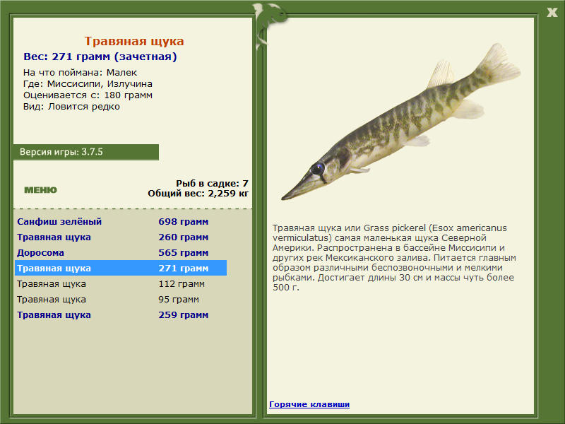 Излучина 