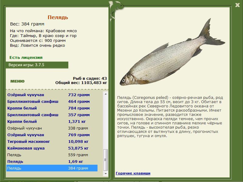 РУССКАЯ РЫБАЛКА Installsoft Edition 