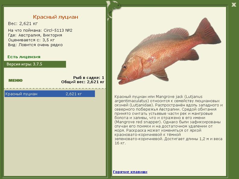 Виктория 