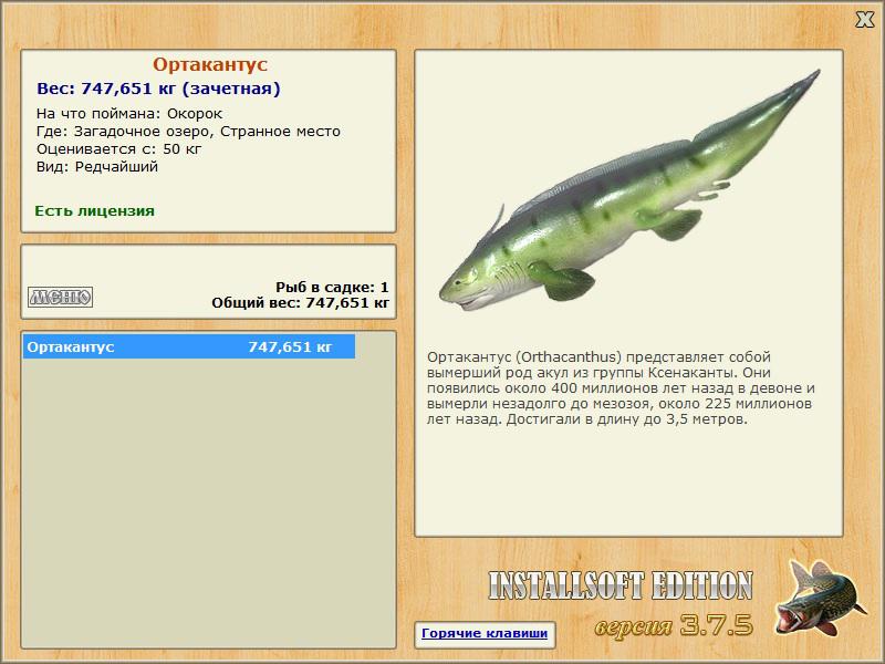 Странное место 