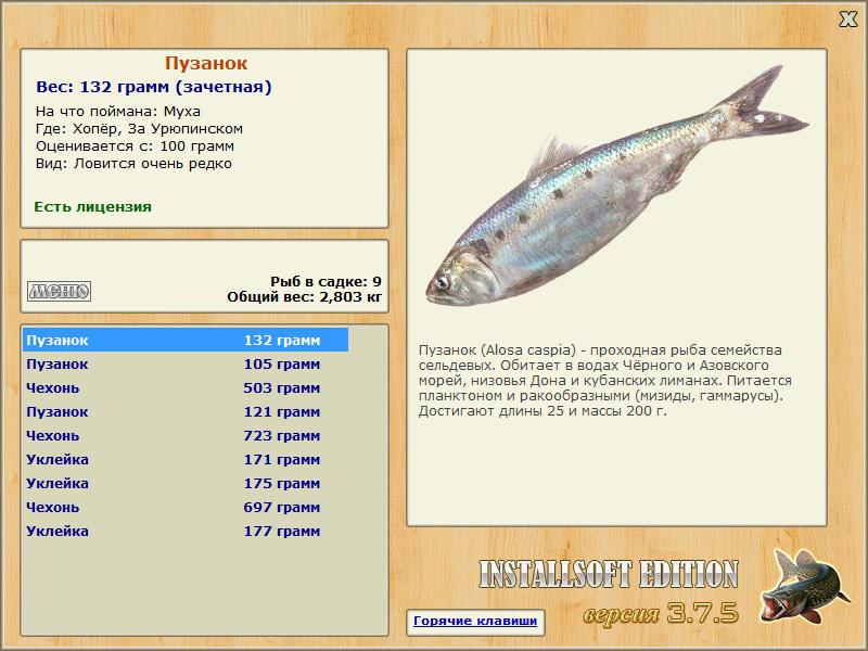 За Урюпинском 