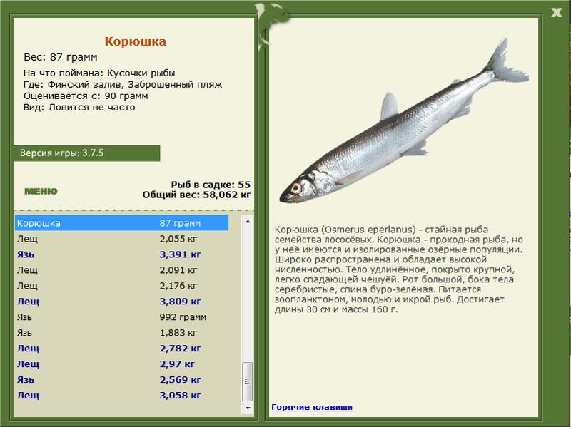 РУССКАЯ РЫБАЛКА Installsoft Edition 