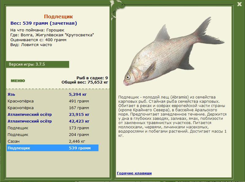 РУССКАЯ РЫБАЛКА Installsoft Edition 