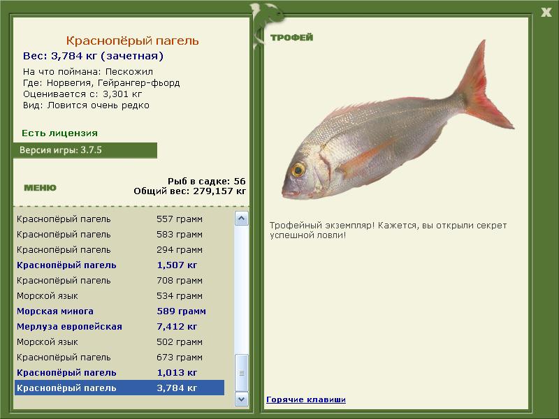 Краснопёрый пагель 