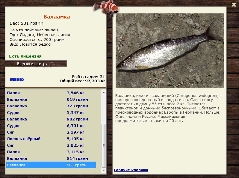 Небесная линия 
