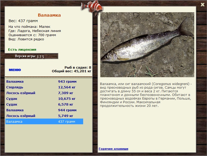 Небесная линия 