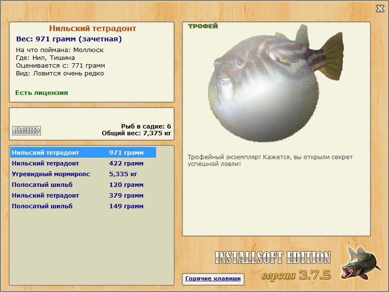 Тишина 