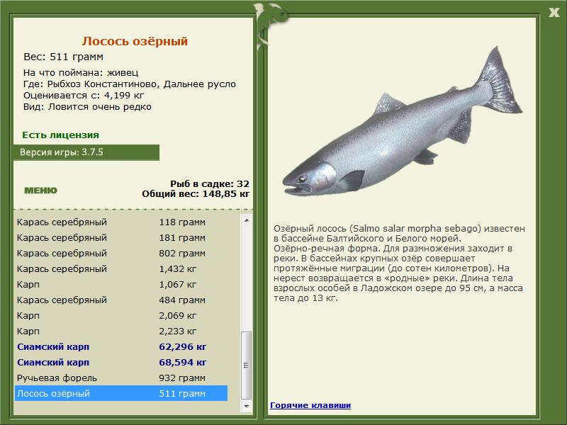 РУССКАЯ РЫБАЛКА Installsoft Edition 