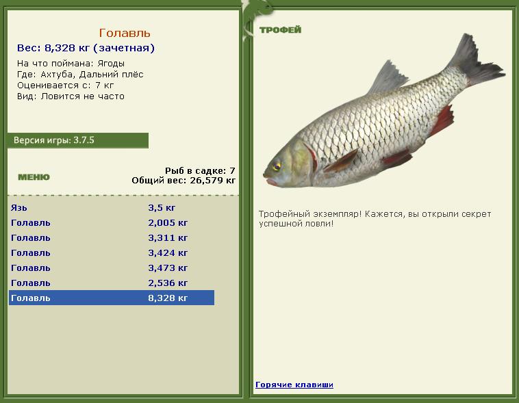 Живец 