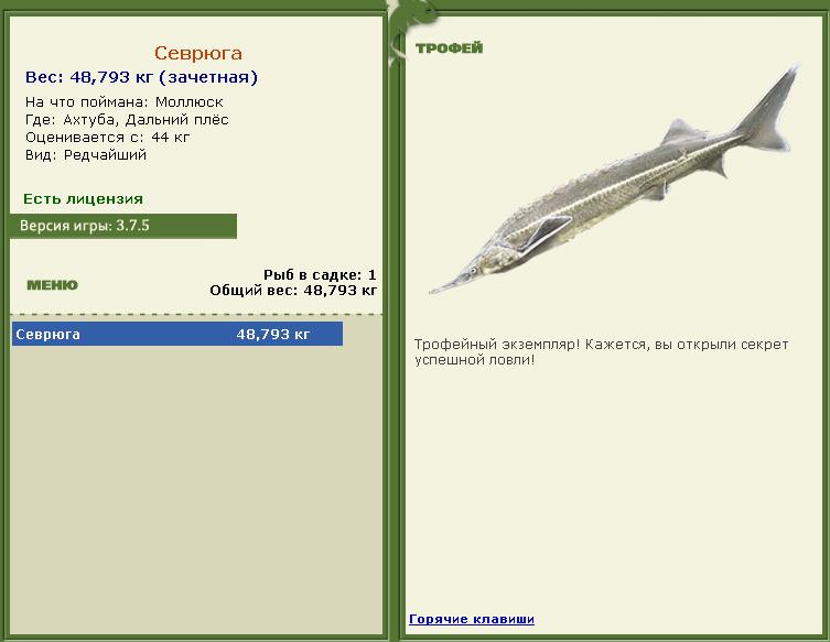 Живец 