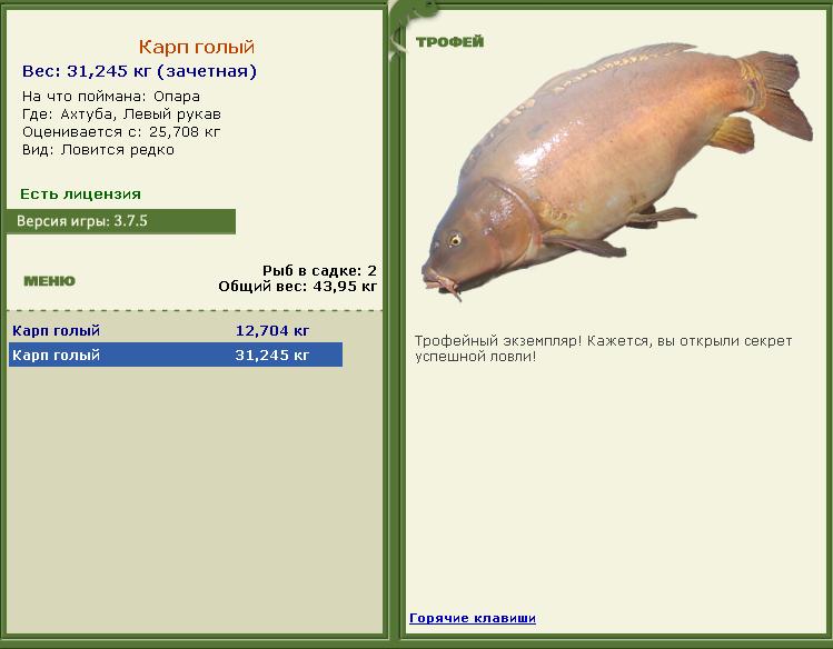 Живец 