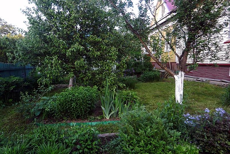 Грядки в саду: можно ли совмещать огород и цветник?
