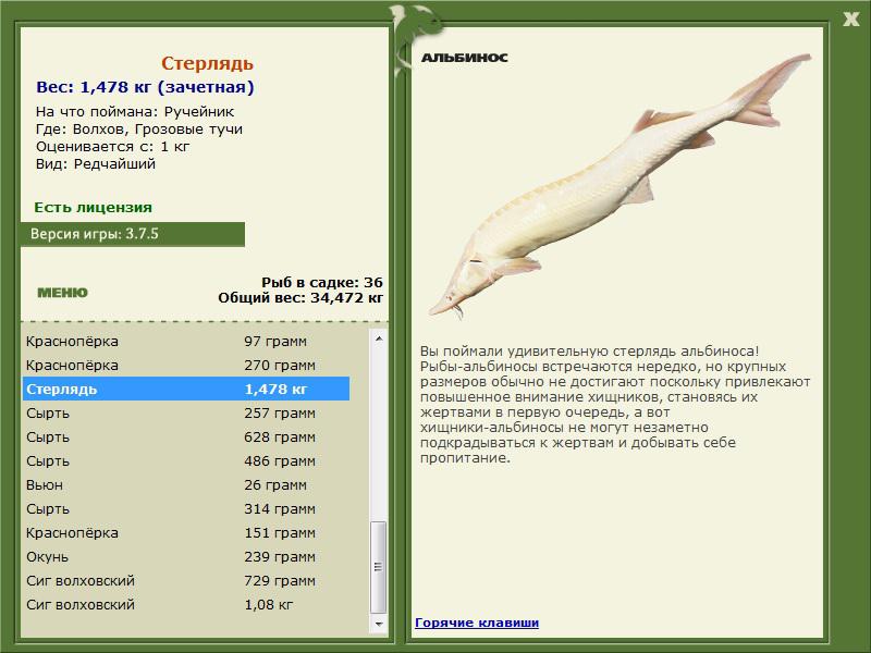 РУССКАЯ РЫБАЛКА Installsoft Edition 