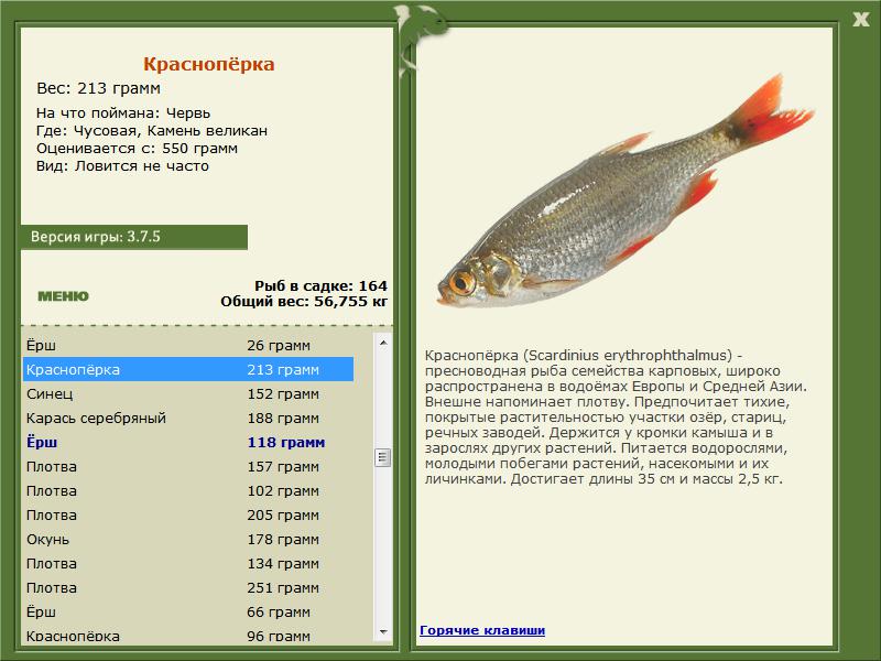 РУССКАЯ РЫБАЛКА Installsoft Edition 