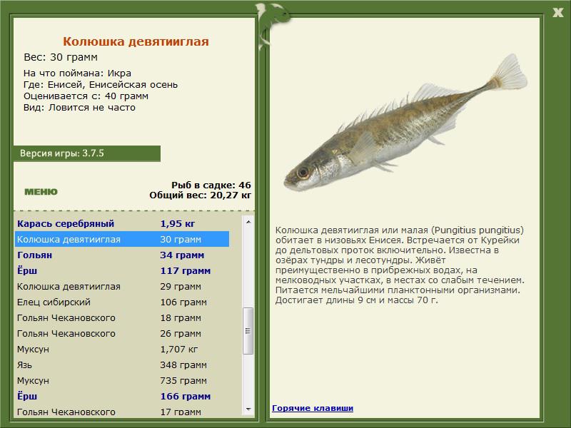 Енисейская осень 