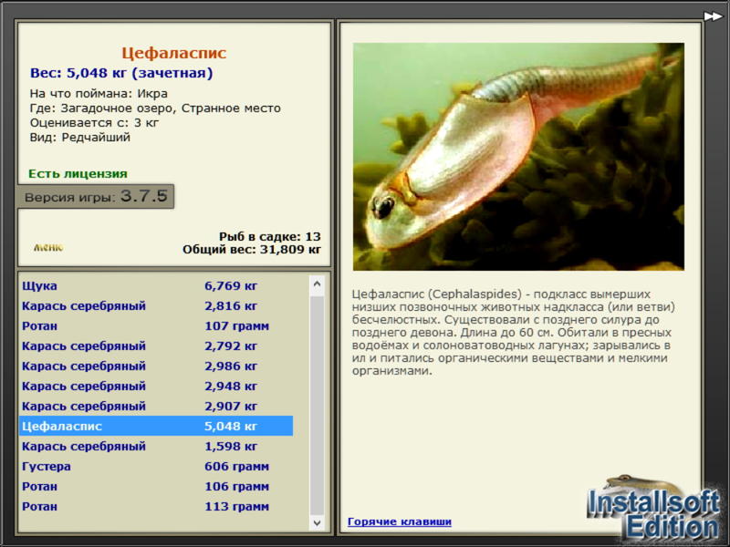 У поворота 