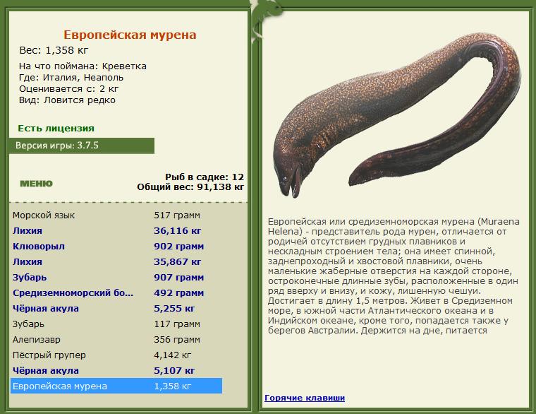 Неаполь 