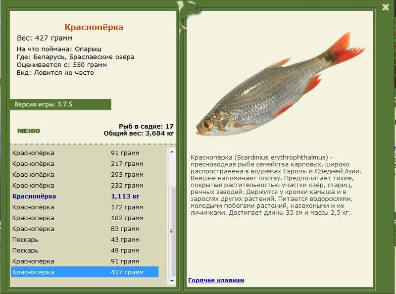 РУССКАЯ РЫБАЛКА Installsoft Edition 