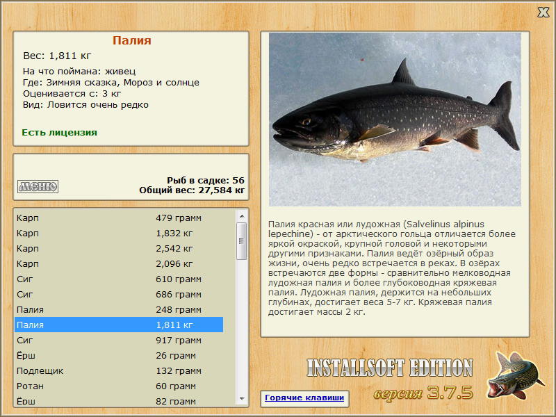 Мороз и солнце 