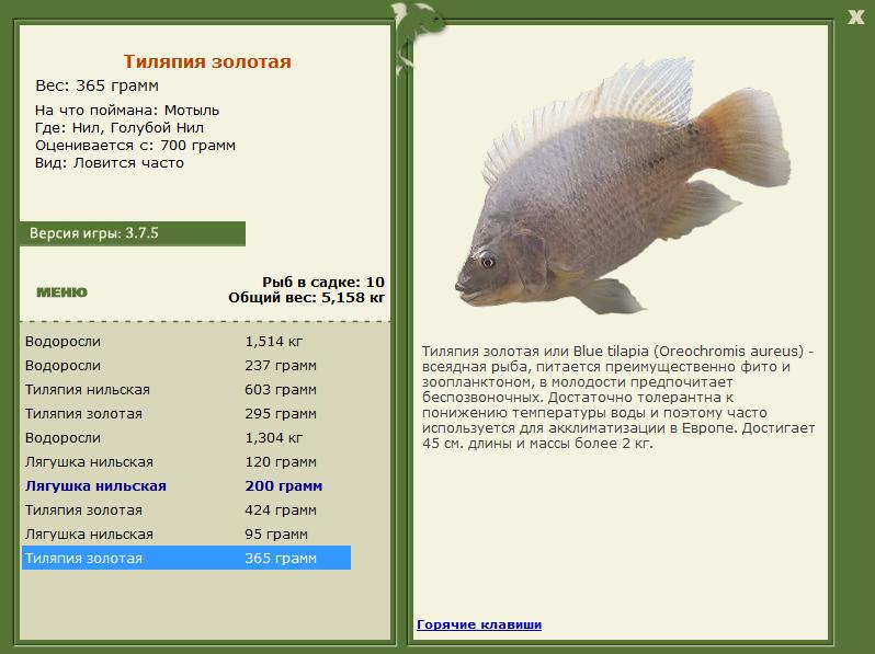 РУССКАЯ РЫБАЛКА Installsoft Edition 