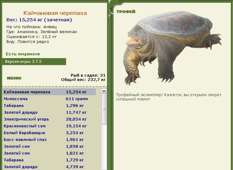 Каймановая черепаха 